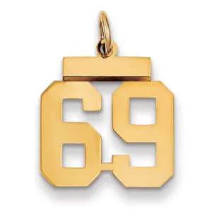 14k Yellow Gold Polished Finish Small Size Number 69 Charm Pendant