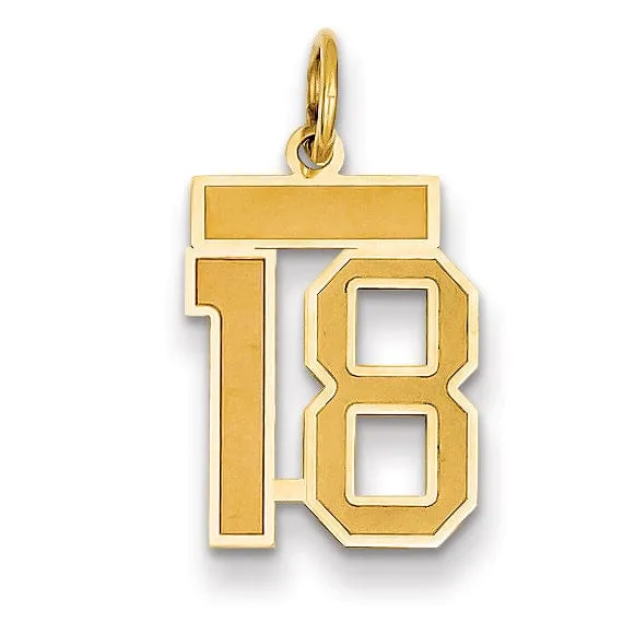 14k Yellow Gold Satin Brush Finish Small Size Number 18 Charm Pendant