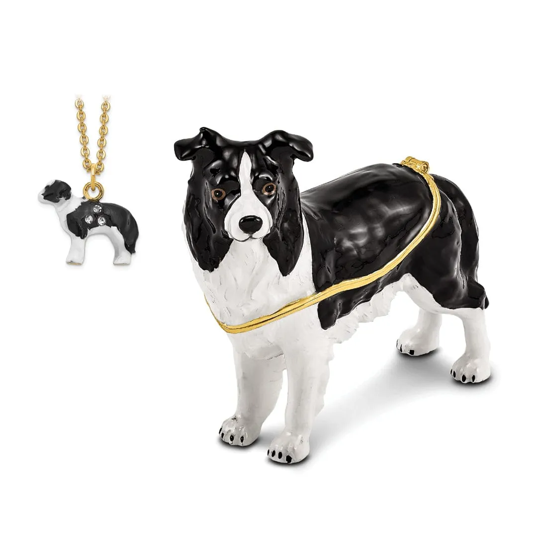 Bejeweled Gold Tone Black White Color BRUNO Border Collie Trinket Box