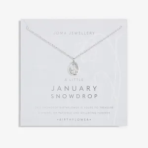 Birth Flower A Little January Snowdrop Silver Plated Necklace 7459