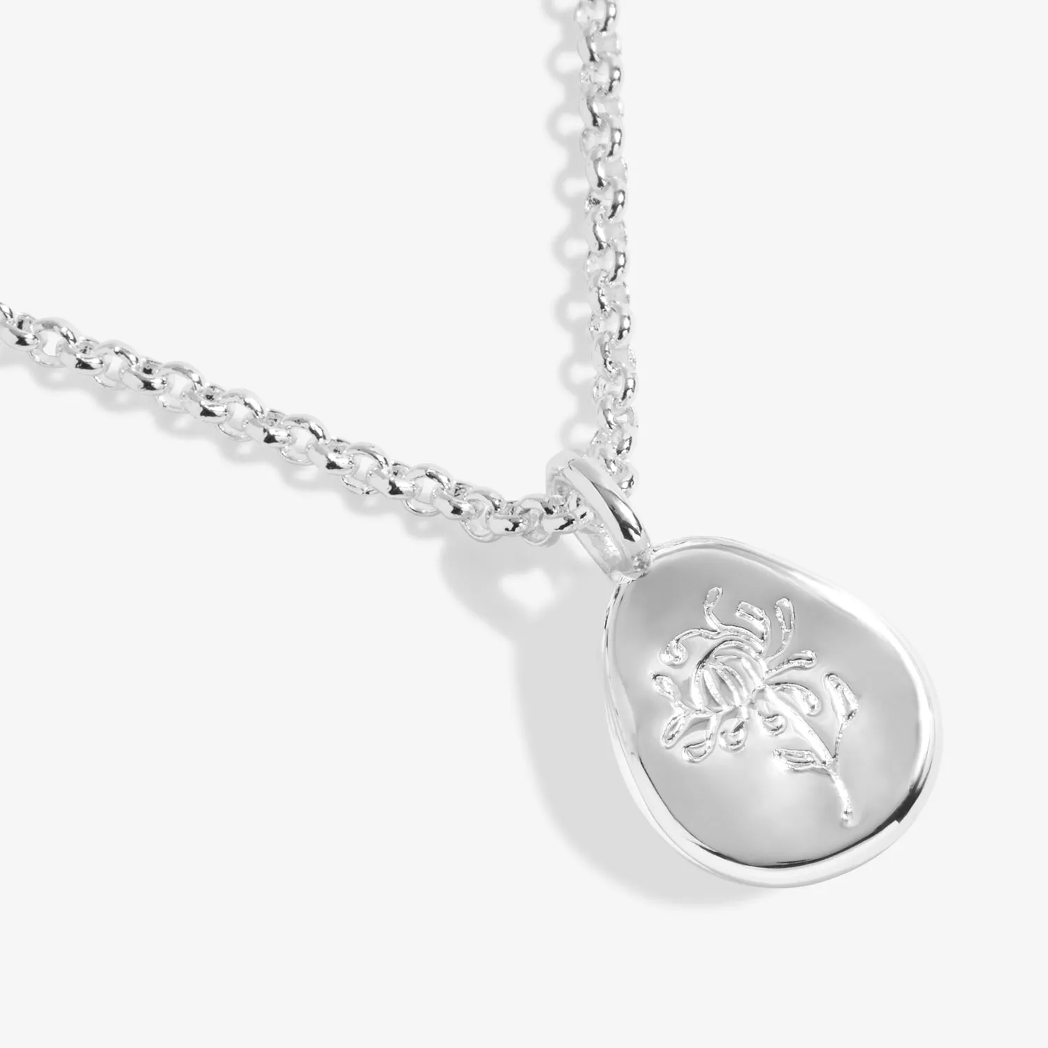 Birth Flower A Little November Chrysanthemum Silver Plated Necklace 7469