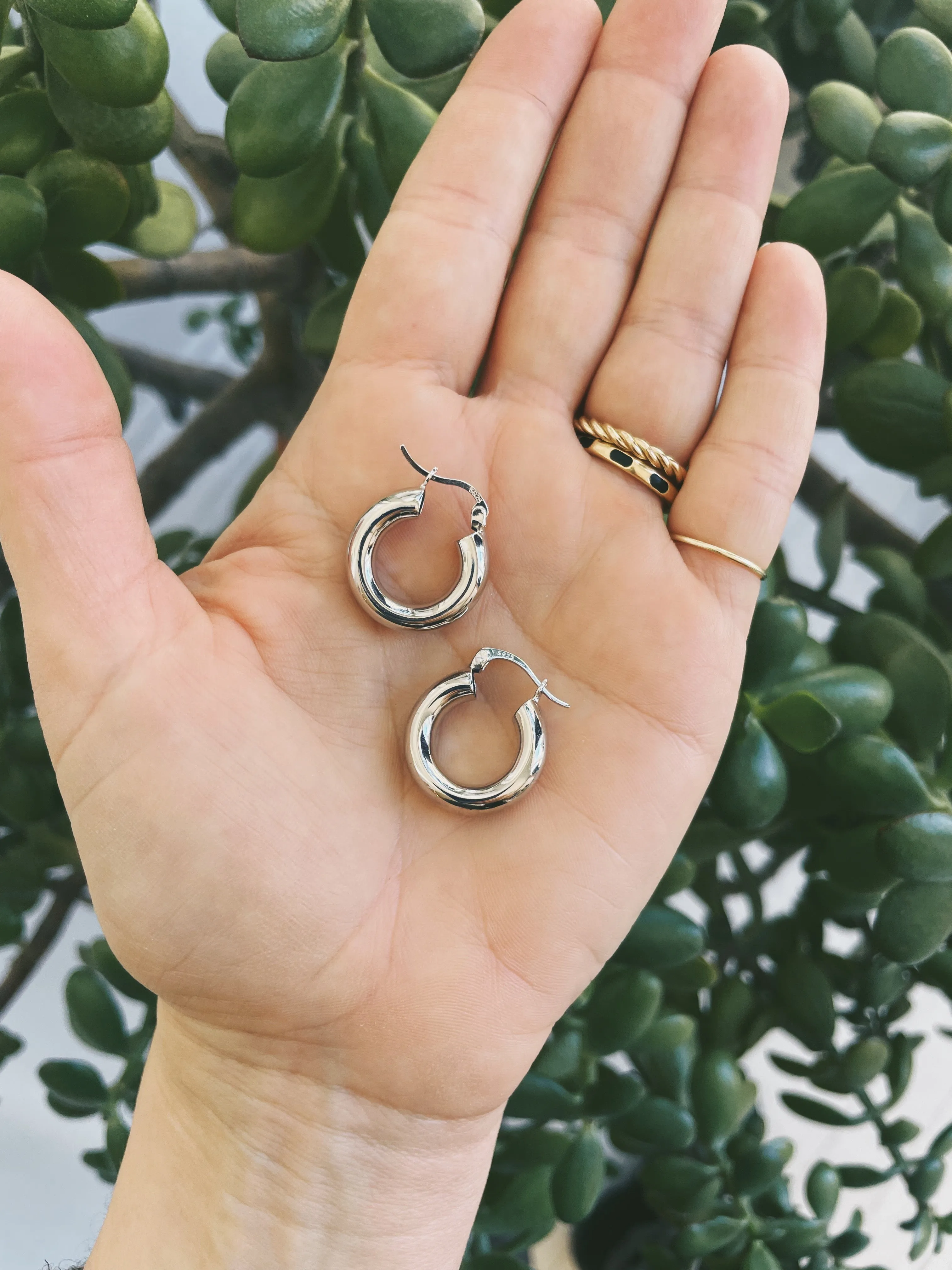 Mylo Sterling Silver Hoops