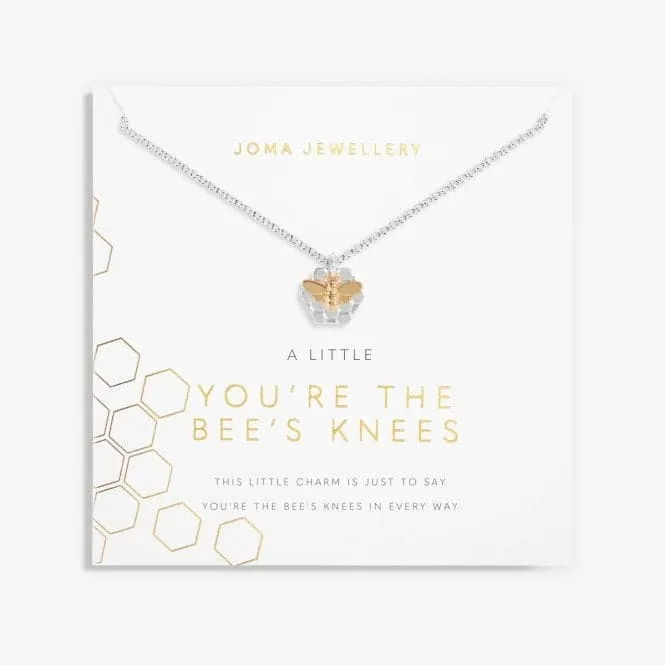 You're The Bees Knees Silver And Gold 46cm   5cm Necklace 6106